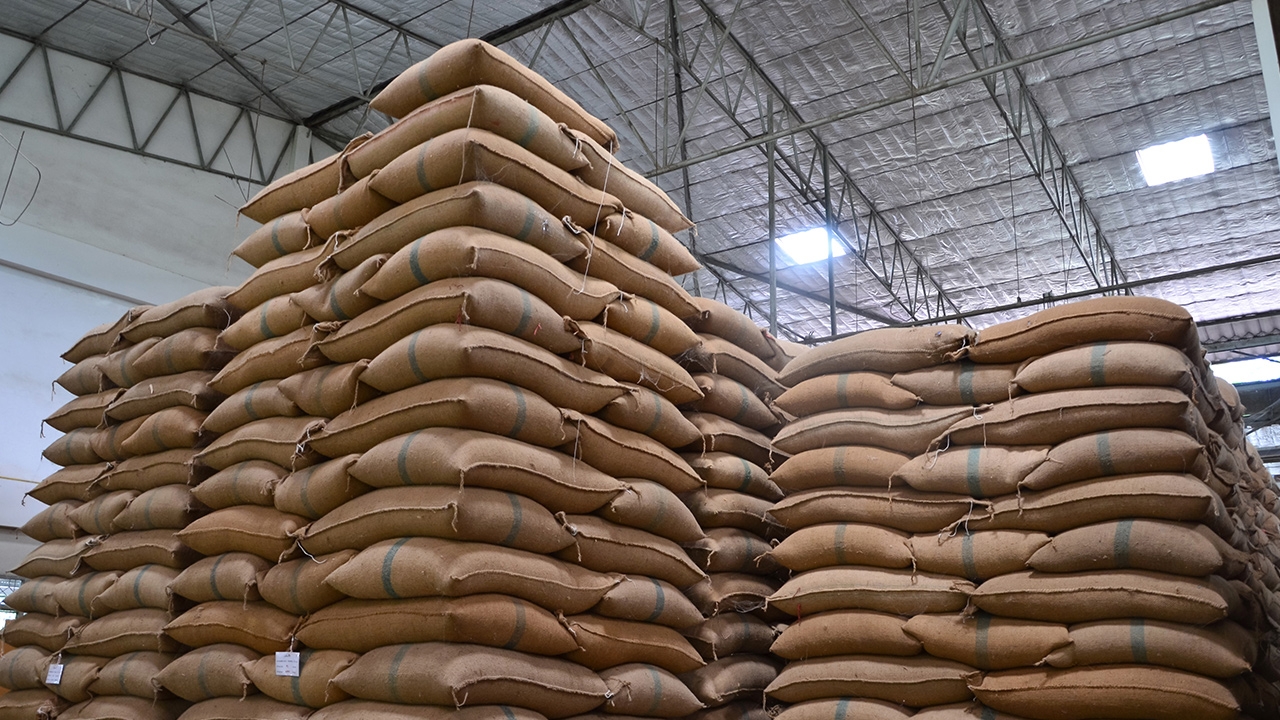 泰国大米出口量在2568年突破目标，2569年加速推进，维护原有市场并开拓新市场