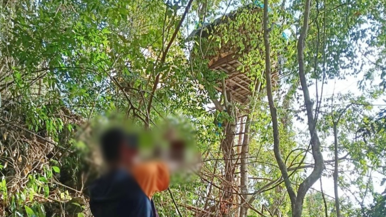 终于抓获“熊·昌昂”重要枪手，在山上建造树屋藏匿